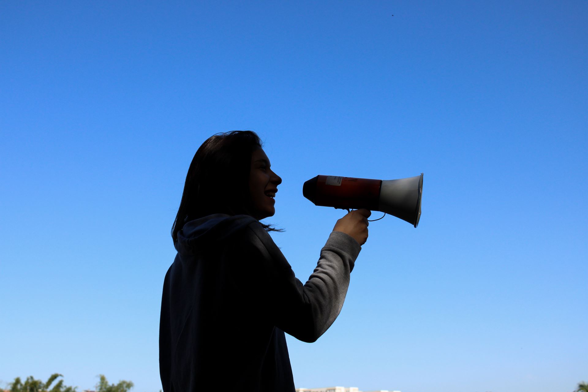 loudspeaker